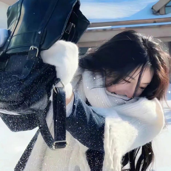 猛虎之家